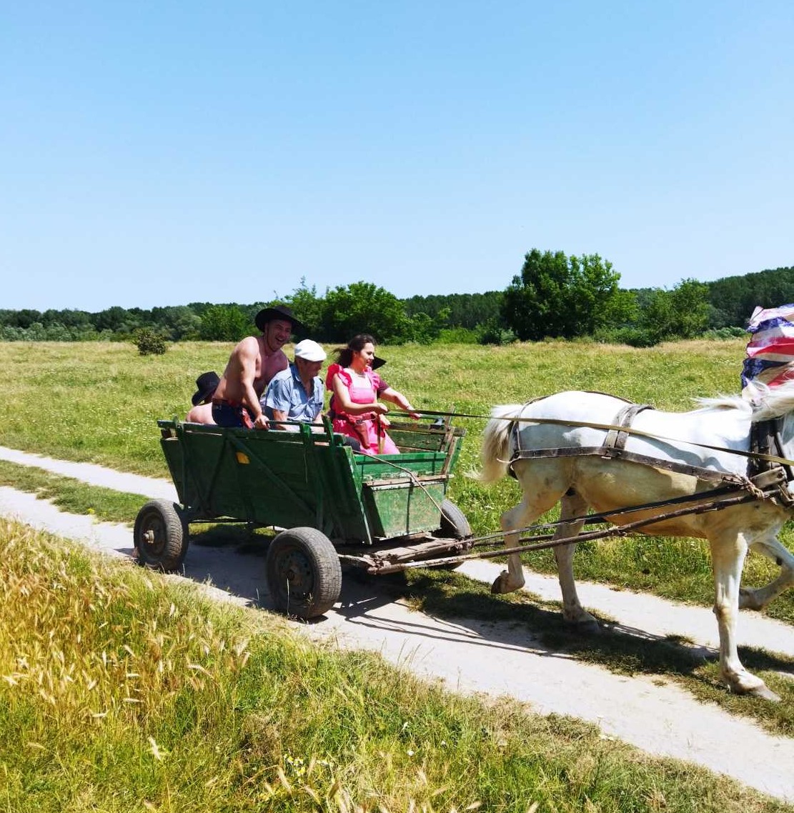 Echipă participând la o cursă tip lanț uman activitate de teambuilding Tunelul Provocării pentru dinamism și sincroniza